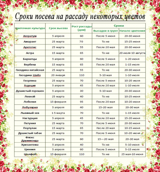 Які лампи потрібні для розсади
