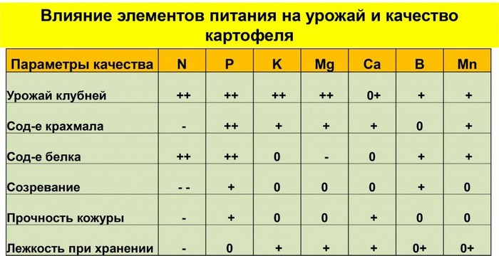 Добриво для картоплі ВІД і ДО: що покласти в лунку навесні, внесення добрив восени