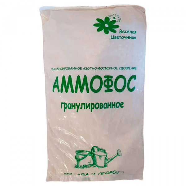 Анемона або вітряниця — опис, сорти, вирощування та догляд