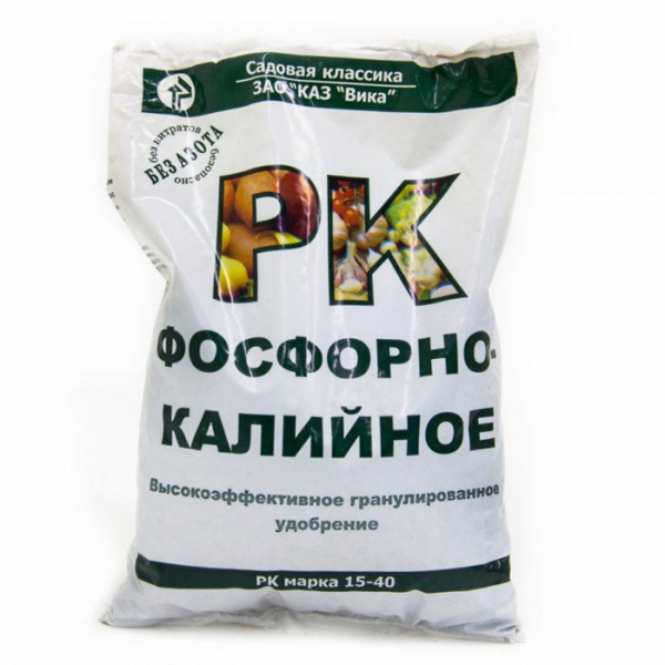 Анемона або вітряниця — опис, сорти, вирощування та догляд