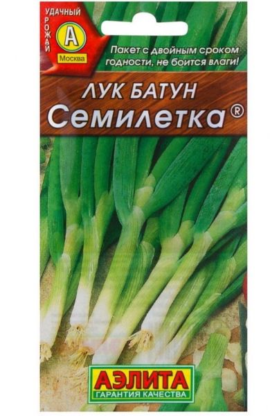 Лук-батун: коли і як висаджувати для багатого врожаю