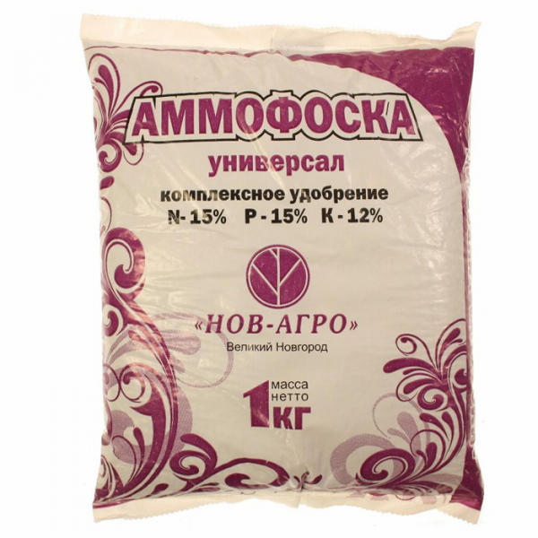 Розсада огірків - все від А до Я як легко виростити міцну розсаду огірків