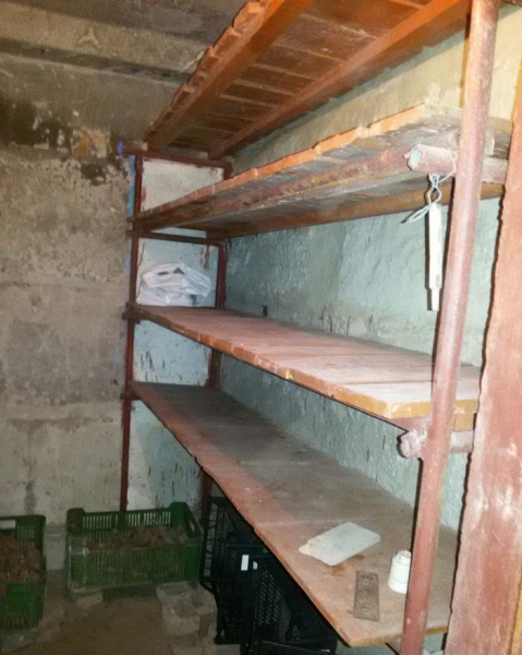 Цвіль у льоху чи підвалі &ndash; як позбутися, чим обробити