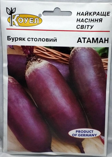Сорти буряків – 60 найкращих сортів 2024 року