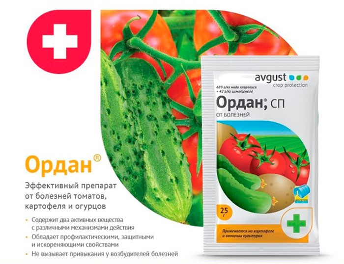 37 хвороб томатів з фото та описом + лікування