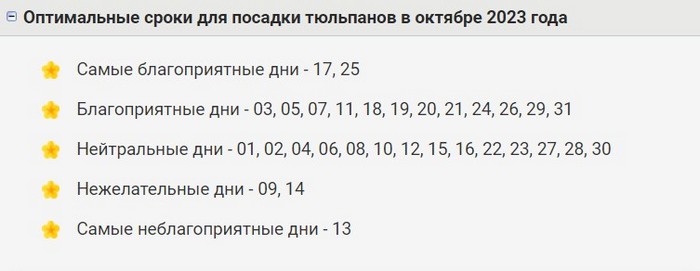 Посадка тюльпанів восени 2024: терміни та особливості