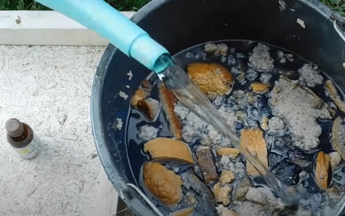 Хлібне підживлення для огірків