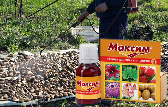 Фунгіцид Максим &mdash; інструкція із застосування, відгуки