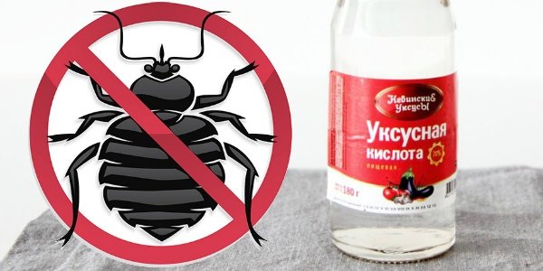 Чим краще цькувати постільних клопів: 10 кращих засобів