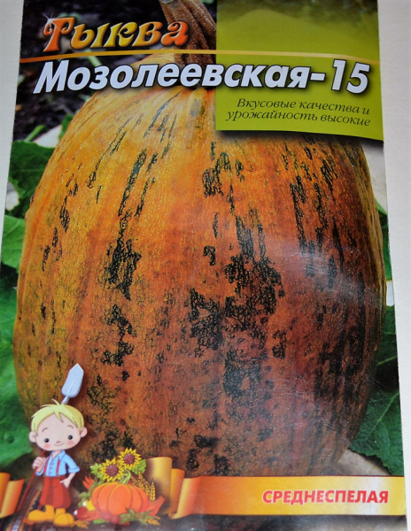 Як зберігати гарбуз &mdash; 6 робочих способів