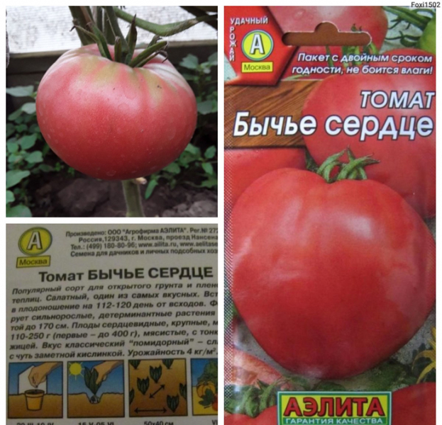 Томат Бичаче серце &mdash; характеристика, опис сорту, фото та відгуки