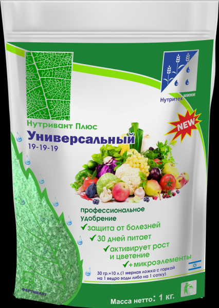 Вершинна гнилизна на помідорах: причини, що робити, як лікувати?