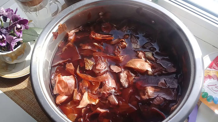 Хлороз винограду