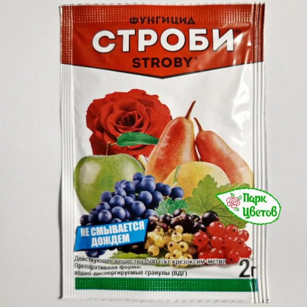 Помилкова борошниста роса (пероноспороз) огірків &ndash; заходи боротьби (25 засобів)