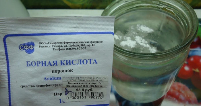 Борна кислота для томатів: як застосовувати для збільшення врожаю