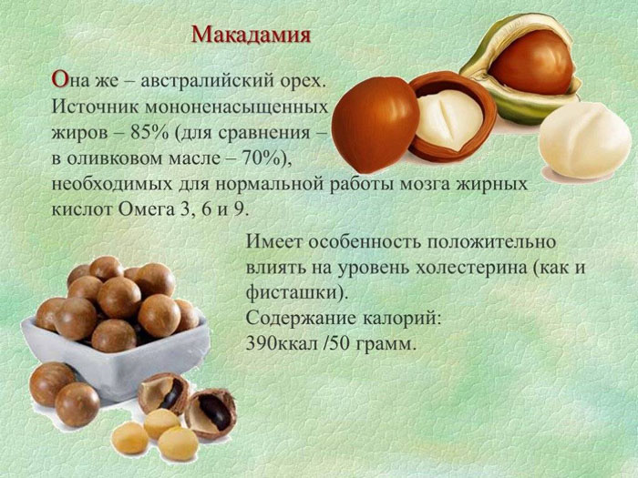 Горіх макадамія – як і де росте, користь для організму