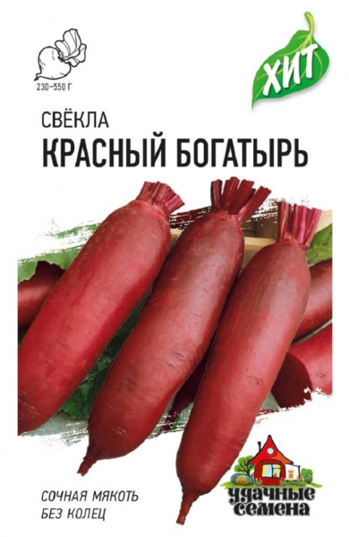Сорти буряків – 60 найкращих сортів 2024 року