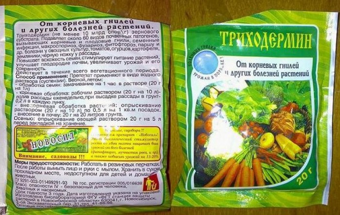 Хробаки в цибулі - як позбутися, чим і як обробити?
