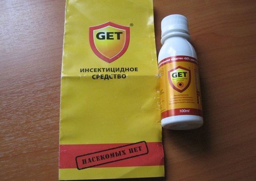 Як боротися з тарганами у гуртожитку?