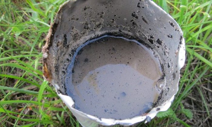 Як вирощувати капусту у відкритому ґрунті &ndash; 7 правил гарного врожаю