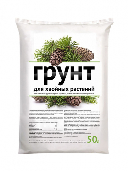 Туя західна &laquo;Брабант&raquo;: опис, посадка у відкритий ґрунт та вирощування