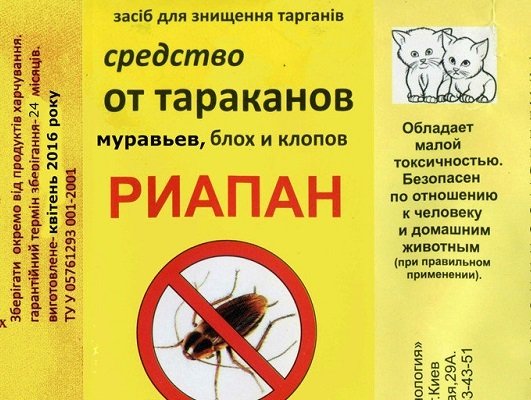 Вибираємо ефективний порошок від клопів