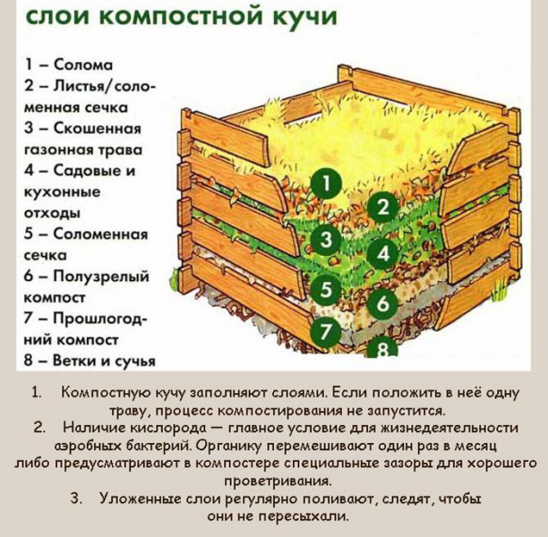 Як зробити компост &ndash; технологія правильного компосту своїми руками