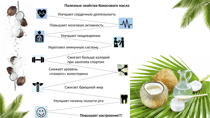 Де і як ростуть кокоси (40 фото), сорти, смак, вирощування та застосування