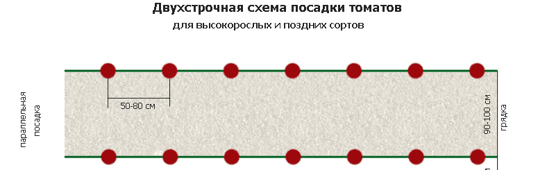 Томат Абаканський: опис сорту, відгуки, фото