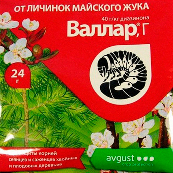Як позбавитися від хруща &mdash; 12 способів і препаратів для боротьби з жуком і личинками