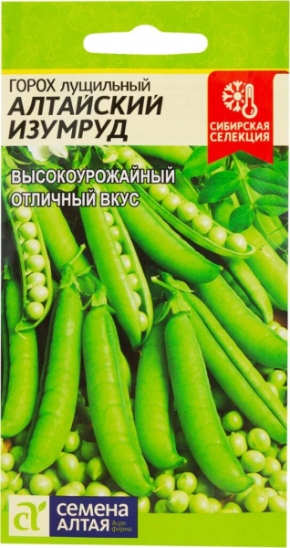 Види та сорти гороху з фото та описом