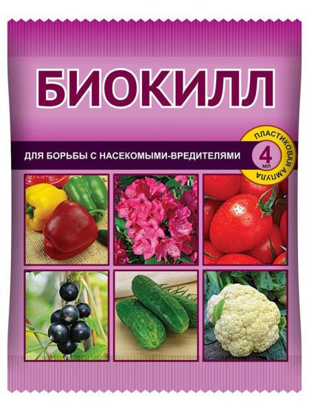 Попелиця: як виглядає і чим боротися? Рейтинг коштів 2024
