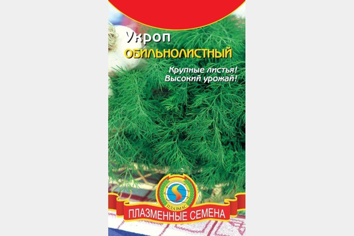 Сорти кропу &ndash; 25 найкращих сортів з фото та описом