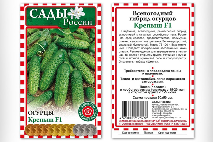 Борошниста роса на огірках: заходи боротьби у теплицях та на відкритому ґрунті