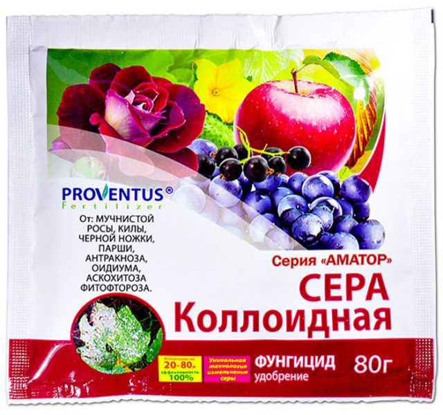 Борошниста роса на флоксах