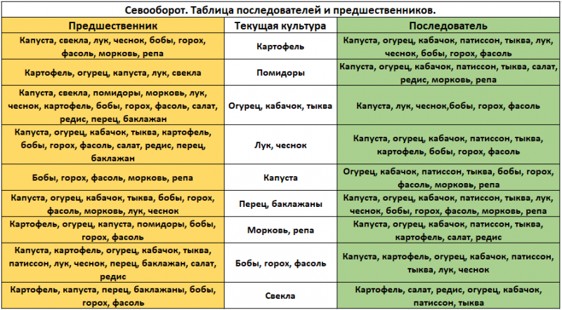 Павутинний кліщ на огірках у теплиці