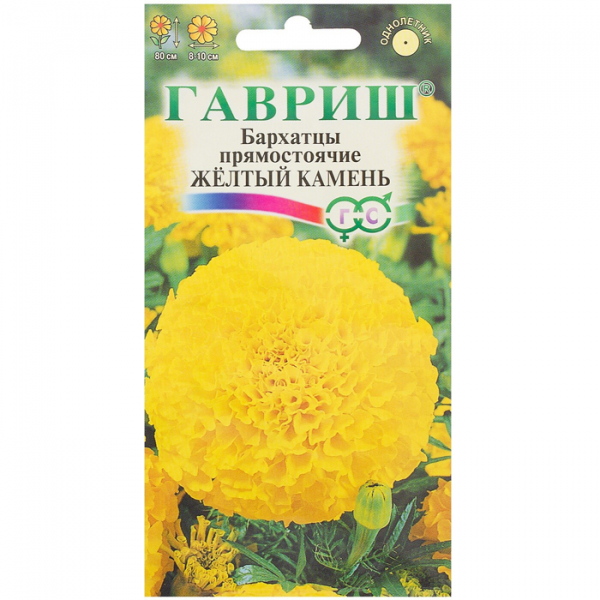 Чорнобривці (70 фото) — сорти, вирощування та догляд за найкориснішою квіткою