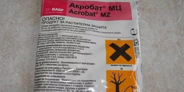 Томат &laquo;Огородник&raquo; - опис сорту, врожайність, відгуки