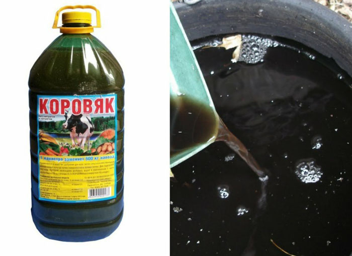 Добрива восени під перекопування &ndash; які і як вносити