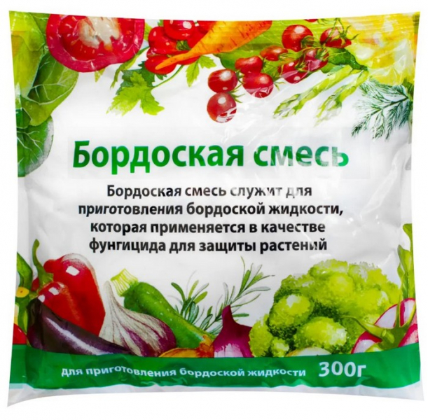 Ялина Коніка: 40 фото, опис, посадка у відкритий ґрунт та правила догляду
