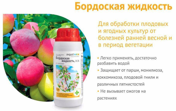 Бордоська рідина - що це таке, як приготувати розчин, інструкція із застосування