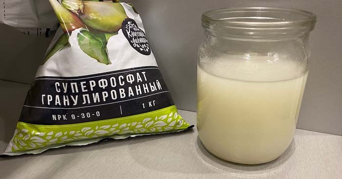 Добриво суперфосфат (40 фото) - що це, склад, інструкція із застосування