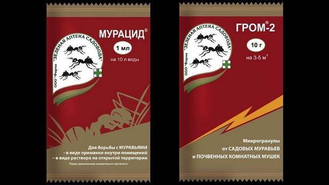 10 ефективних способів боротьби з мурахами у теплиці