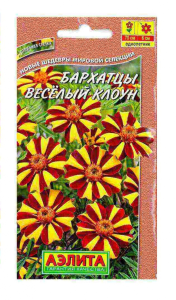 Чорнобривці (70 фото) — сорти, вирощування та догляд за найкориснішою квіткою