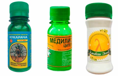 Чим краще цькувати постільних клопів: 10 кращих засобів
