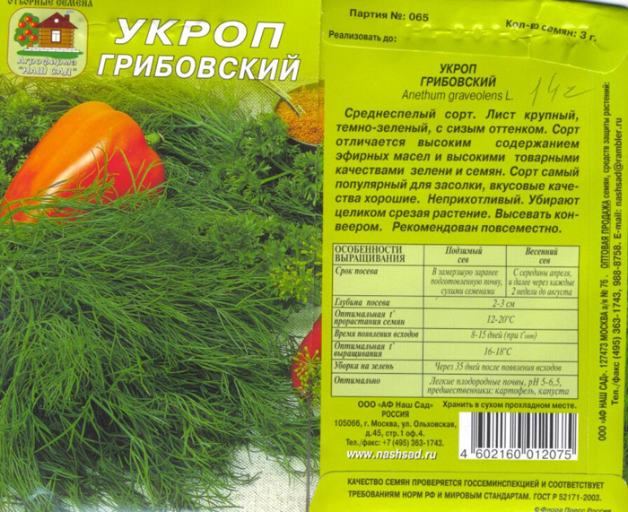 Сорти кропу &ndash; 25 найкращих сортів з фото та описом