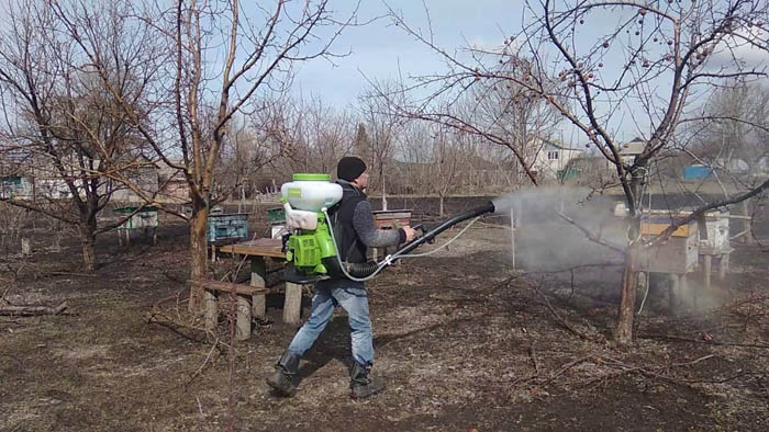 Мідний купорос - інструкція із застосування на городі та саду навесні та восени