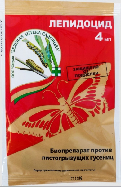 Крупа кіноа &ndash; що це? Від А до Я про кіноа: вирощування, користь, як готувати (30 фото)