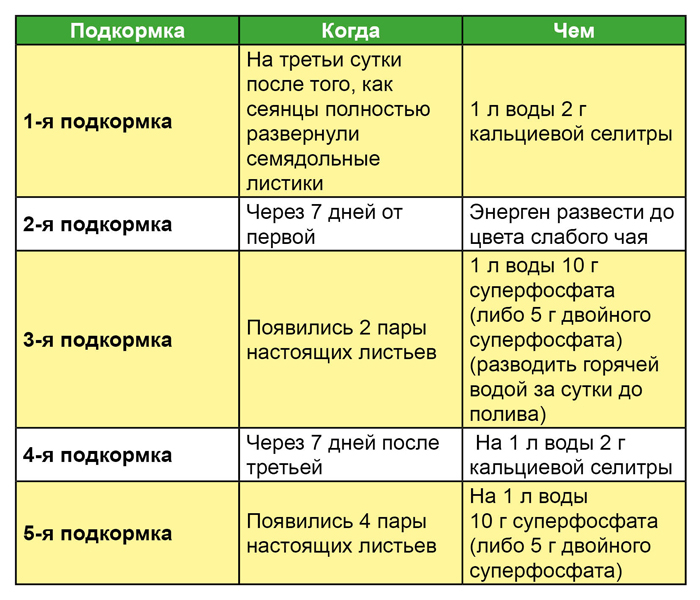 Підживлення розсади: коли та чим удобрювати розсаду для гарного росту