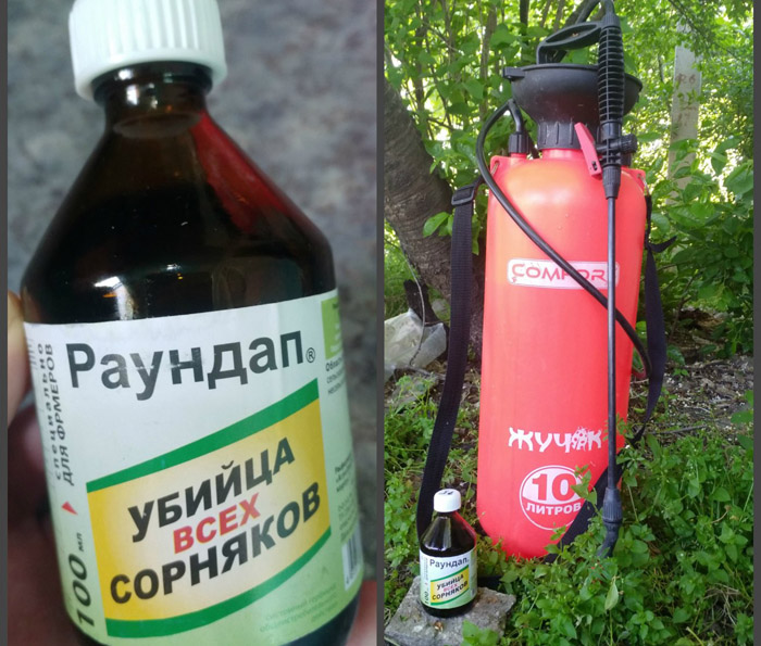 Раундап від бур'янів: інструкція із застосування, як розводити для 100% ефективності